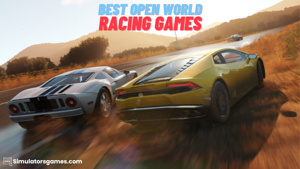 Open World Racing Game